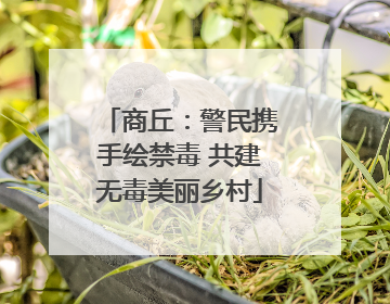 商丘：警民携手绘禁毒 共建无毒美丽乡村