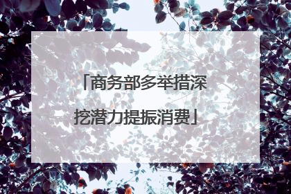 商务部多举措深挖潜力提振消费