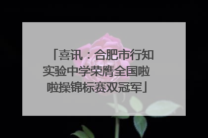 喜讯：合肥市行知实验中学荣膺全国啦啦操锦标赛双冠军