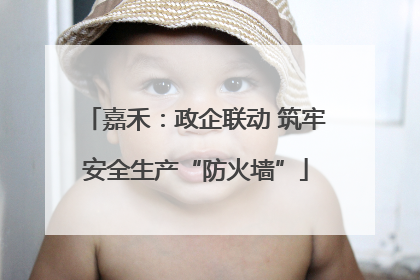 嘉禾：政企联动 筑牢安全生产“防火墙”
