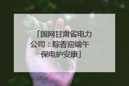 国网甘肃省电力公司：粽香迎端午 保电护安康