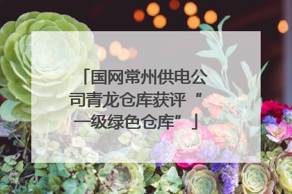 国网常州供电公司青龙仓库获评“一级绿色仓库”