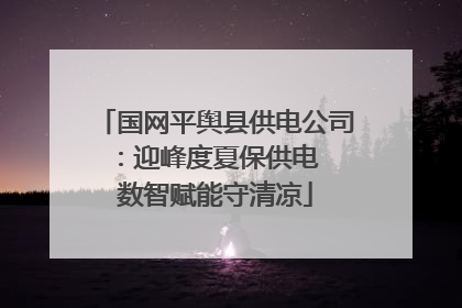 国网平舆县供电公司：迎峰度夏保供电  数智赋能守清凉