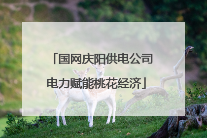 国网庆阳供电公司电力赋能桃花经济