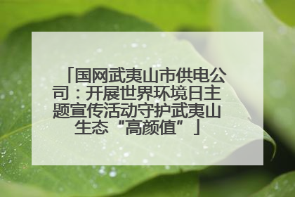 国网武夷山市供电公司：开展世界环境日主题宣传活动守护武夷山生态“高颜值”