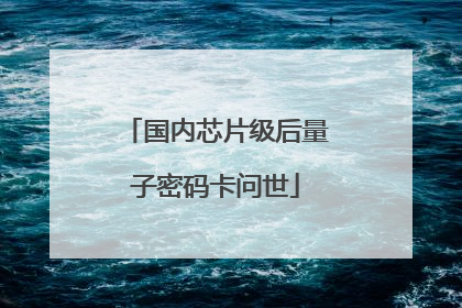 国内芯片级后量子密码卡问世