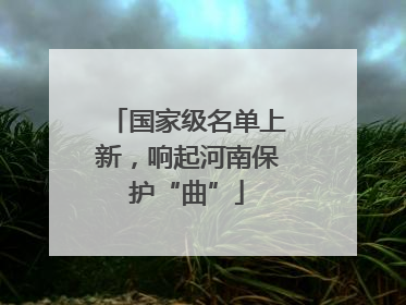 国家级名单上新，响起河南保护“曲”