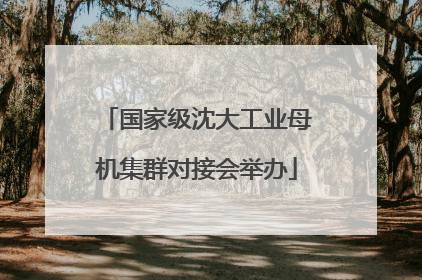 国家级沈大工业母机集群对接会举办