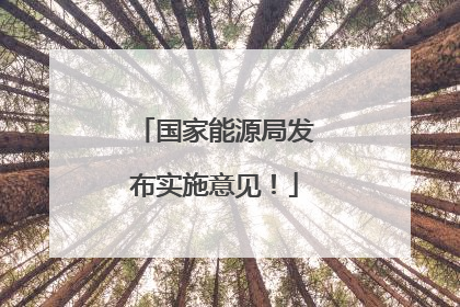 国家能源局发布实施意见！
