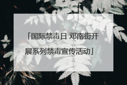 国际禁毒日 邓南街开展系列禁毒宣传活动
