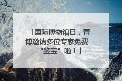 国际博物馆日，青博邀请多位专家免费“鉴宝”啦！