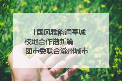 国风雅韵润亭城 校地合作谱新篇——团市委联合滁州城市职业学院助力传统文化“破圈”绽放