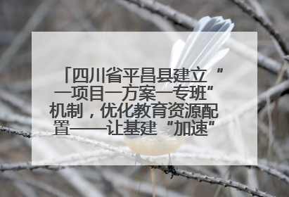 四川省平昌县建立“一项目一方案一专班”机制，优化教育资源配置——让基建“加速”，为成长“铺路”