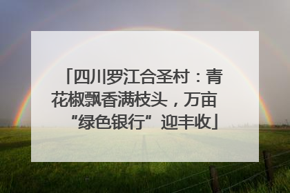 四川罗江合圣村：青花椒飘香满枝头，万亩“绿色银行”迎丰收