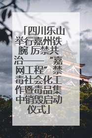 四川乐山举行嘉州铁腕 厉禁共治——“嘉网工程”禁毒社会化工作暨毒品集中销毁启动仪式