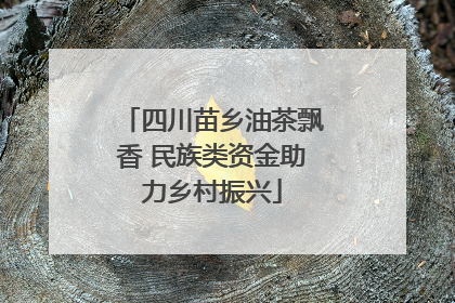 四川苗乡油茶飘香 民族类资金助力乡村振兴