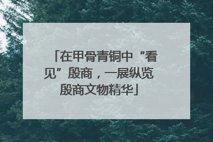 在甲骨青铜中“看见”殷商，一展纵览殷商文物精华