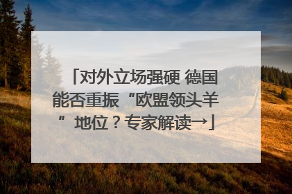 对外立场强硬 德国能否重振“欧盟领头羊”地位？专家解读→