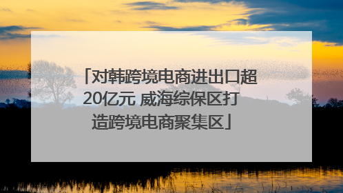 对韩跨境电商进出口超20亿元 威海综保区打造跨境电商聚集区