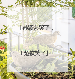 孙颖莎哭了，王楚钦笑了