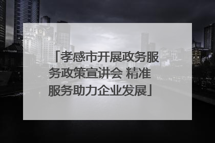 孝感市开展政务服务政策宣讲会 精准服务助力企业发展