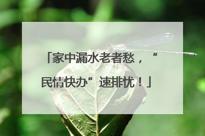 家中漏水老者愁，“民情快办”速排忧！