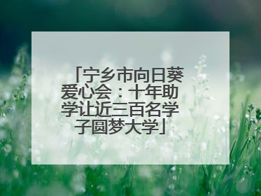 宁乡市向日葵爱心会：十年助学让近三百名学子圆梦大学
