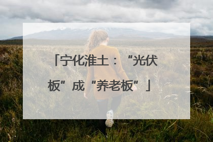 宁化淮土：“光伏板”成“养老板”