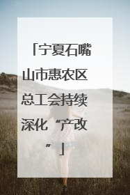 宁夏石嘴山市惠农区总工会持续深化“产改”