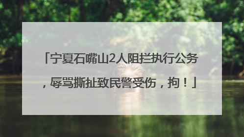 宁夏石嘴山2人阻拦执行公务，辱骂撕扯致民警受伤，拘！