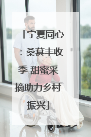 宁夏同心：桑葚丰收季 甜蜜采摘助力乡村振兴
