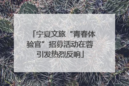 宁夏文旅“青春体验官”招募活动在蓉引发热烈反响