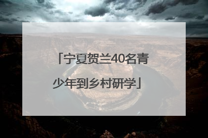 宁夏贺兰40名青少年到乡村研学