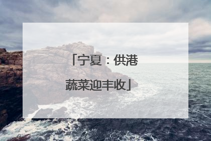 宁夏：供港蔬菜迎丰收