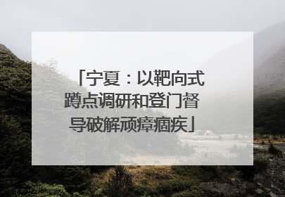 宁夏：以靶向式蹲点调研和登门督导破解顽瘴痼疾