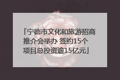 宁德市文化和旅游招商推介会举办 签约15个项目总投资逾15亿元