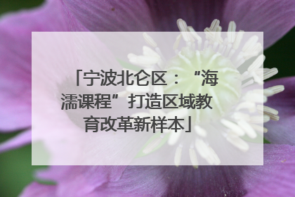 宁波北仑区：“海濡课程”打造区域教育改革新样本