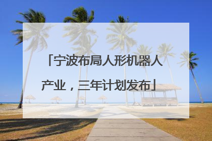 宁波布局人形机器人产业，三年计划发布
