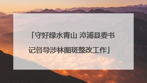 守好绿水青山 漳浦县委书记督导涉林图斑整改工作