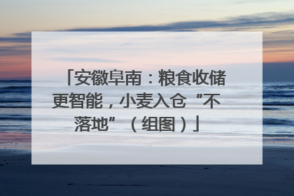 安徽阜南：粮食收储更智能，小麦入仓“不落地”（组图）