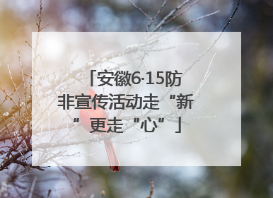 安徽6·15防非宣传活动走“新”更走“心”