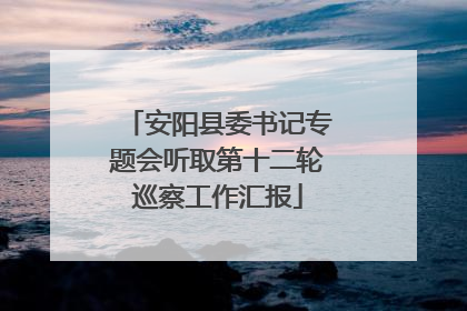 安阳县委书记专题会听取第十二轮巡察工作汇报