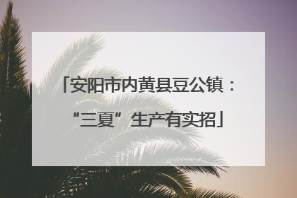 安阳市内黄县豆公镇：“三夏”生产有实招