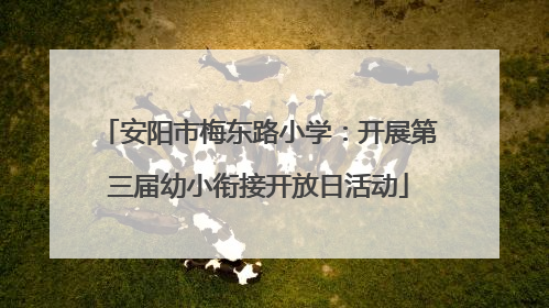 安阳市梅东路小学：开展第三届幼小衔接开放日活动