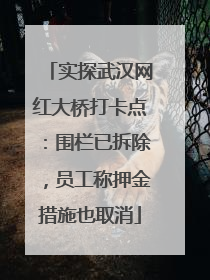 实探武汉网红大桥打卡点：围栏已拆除，员工称押金措施也取消