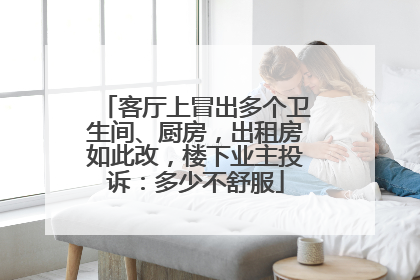 客厅上冒出多个卫生间、厨房，出租房如此改，楼下业主投诉：多少不舒服