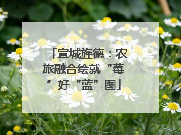 宣城旌德：农旅融合绘就“莓”好“蓝”图