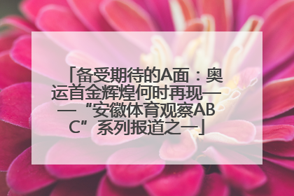 备受期待的A面：奥运首金辉煌何时再现——“安徽体育观察ABC”系列报道之一