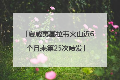 夏威夷基拉韦火山近6个月来第25次喷发