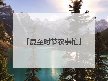 夏至时节农事忙